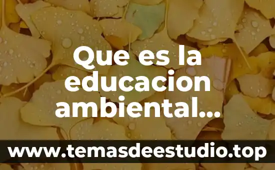 De que es la empresa magna planta san luis 7 Que es la educacion ambiental bojorquez castro luis