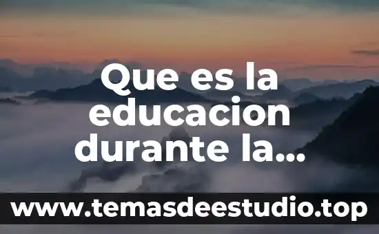 Que es la educacion durante la colonia