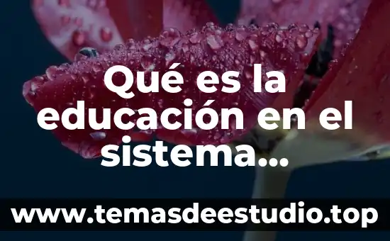 Qué es la educación en el sistema educativo mexicano