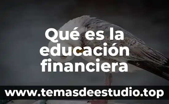 Que es aprehender en educacion 6 Qué es la educación financiera