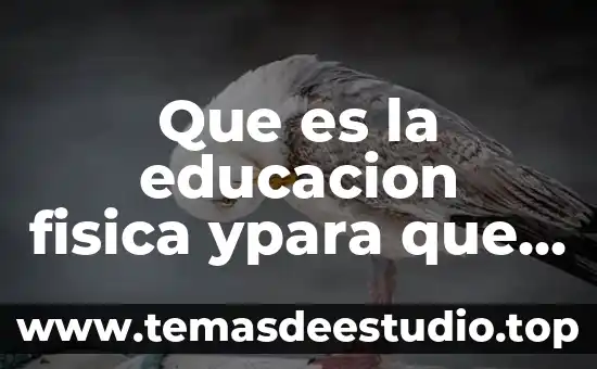 Que es cultura en educacion fisica 6 Que es la educacion fisica ypara que sirve
