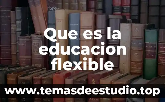 Que es disco flexible significado 6 Que es la educacion flexible