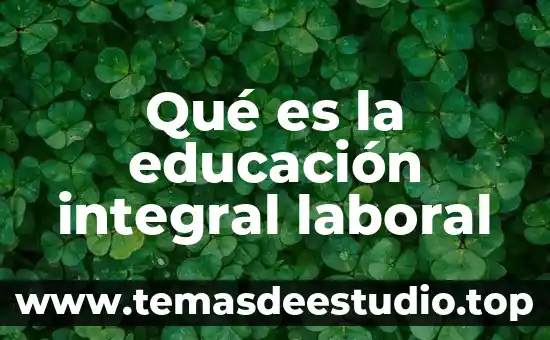 Qué es la educación integral laboral