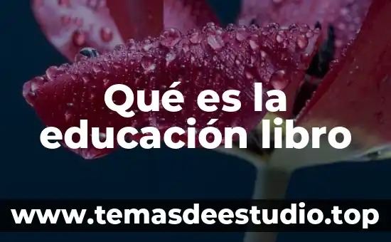 Que es el lenguaje lliteral 6 Qué es la educación libro