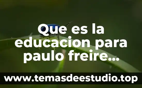 Que es la educacion del arte 8 Que es la educacion para paulo freire redalyc