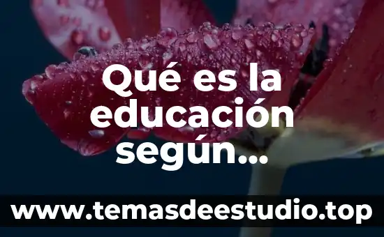 Qué es la educación según Fernando Savater resumen