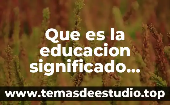 Ciudad de los niños que es 5 Que es la educacion significado para niños