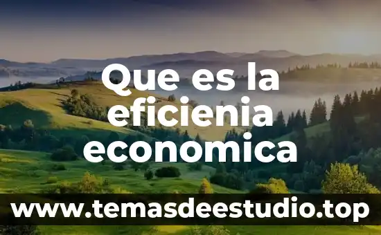 Doctrina económica que es 3 Que es la eficienia economica