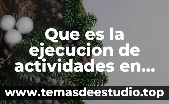 Que es la ejecucion de actividades en el ambito profesional