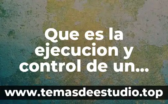 Que es la ejecucion y control de un proyecto