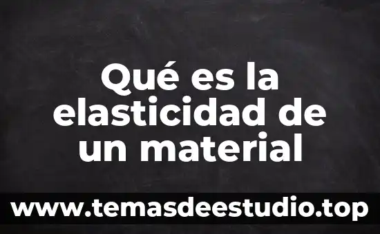Qué es la justicia formal material y social 3 Qué es la elasticidad de un material