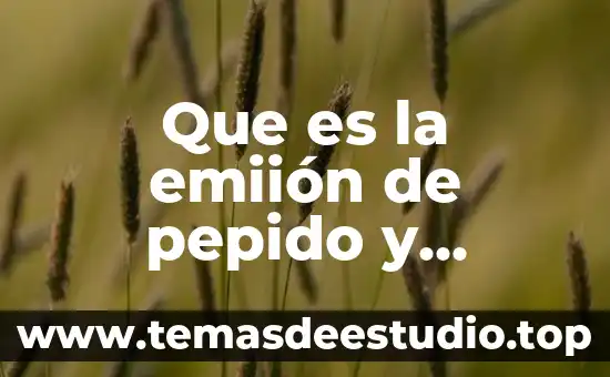 Que es un relato historicoy su ejemplo 3 Que es la emiión de pepido y ejemplo
