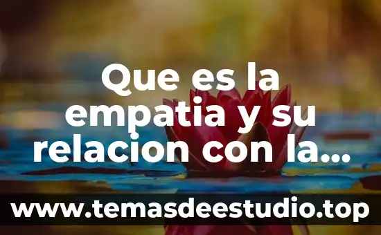 Qué es relación de inclusión ejemplos 4 Que es la empatia y su relacion con la convivencia
