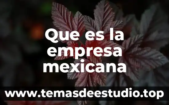 Que es ser autentico en empresa 3 Que es la empresa mexicana