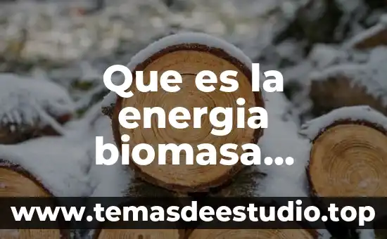 Que es la era digital ventajas y desventajas 8 Que es la energia biomasa ventajas y desventajas