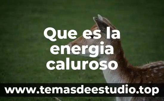 Que es la energia caluroso