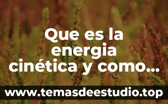 Que es una planta de energia sola 4 Que es la energia cinética y como funciona