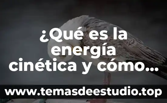 ¿Qué es la energía cinética y cómo se calcula?