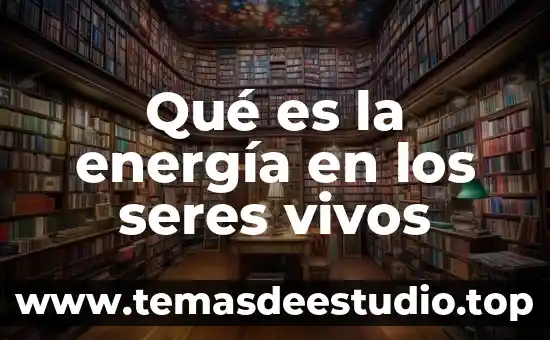 Respiracion de seres vivos que es 7 Qué es la energía en los seres vivos