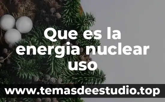 Que es una planta nuclear y para que se utiliza 3 Que es la energia nuclear uso