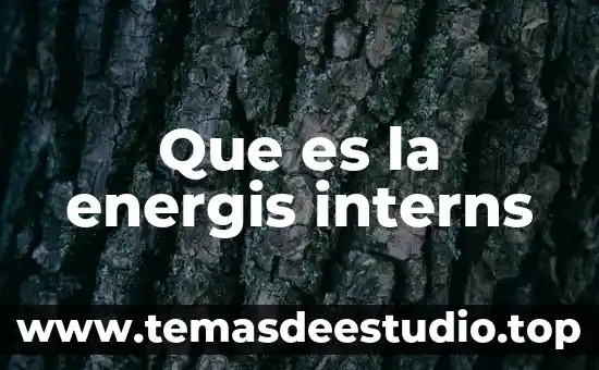 Altica que es 6 Que es la energis interns