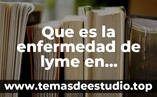 Que es el derecho laboral partiendo del concepto de administracion 6 Que es la enfermedad de lyme en personas