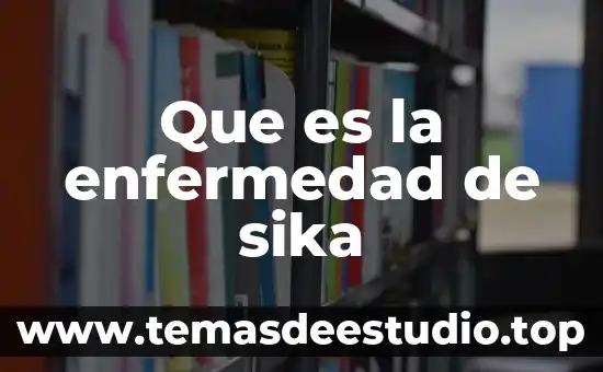 Que es el signo linguistico caracteristicas 4 Que es la enfermedad de sika