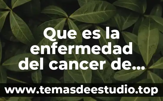 Cáncer de cuello de útero 5 Que es la enfermedad del cancer de mama
