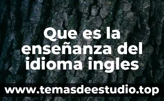 Que es la enseñanza del idioma ingles