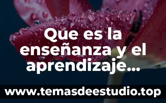 Que es la enseñanza y el aprendizaje situado