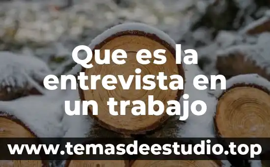 Que es la entrevista en un trabajo