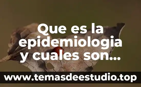¿Qué es una figura y cuáles son sus características? 6 Que es la epidemiologia y cuales son sus ramas