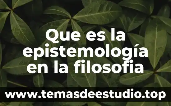 Que es la epistemología en la filosofia