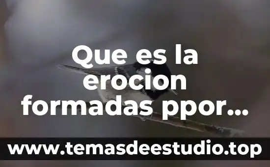 Variantes contextuales que es 3 Que es la erocion formadas ppor bahias
