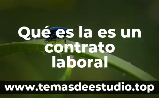 Que es una contrato de arrendamiento 8 Qué es la es un contrato laboral