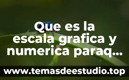 Que es corresponsabilidad ente representacion numerica y grafica 7 Que es la escala grafica y numerica paraq que sirve