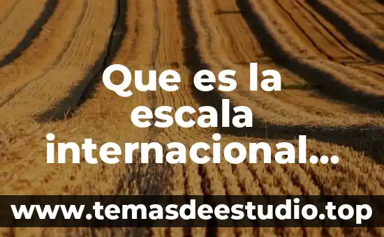 Que es la muestra internacional de danza contemporánea en guadalajara 3 Que es la escala internacional de temperatura