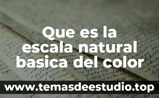 Que es la escala natural basica del color