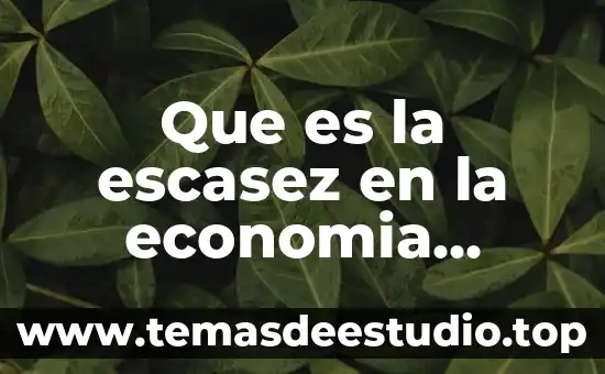 Que es la escasez de recursos en economia 3 Que es la escasez en la economia yahoo