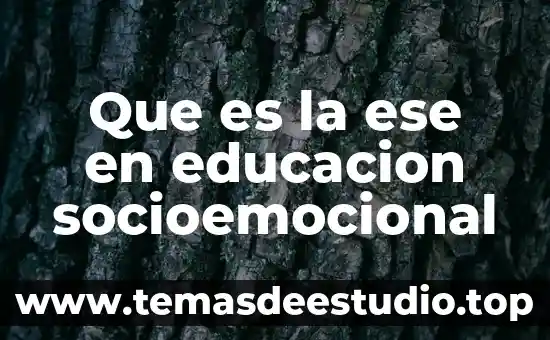 Que es pensamiento computacional en la educacion 4 Que es la ese en educacion socioemocional