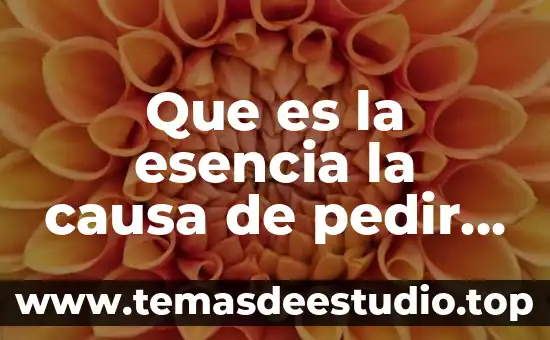 Ver causa y que es la lsd 6 Que es la esencia la causa de pedir consiste en