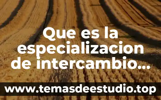 En economia que es la especializacion 5 Que es la especializacion de intercambio economia