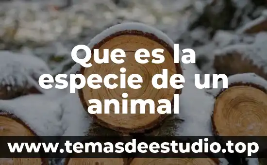 Soñar con animal muerto 4 Que es la especie de un animal