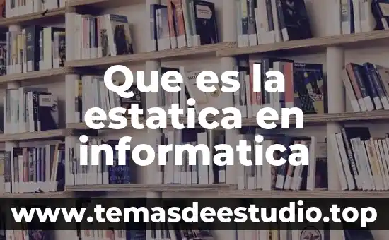 Que es la estatica en informatica