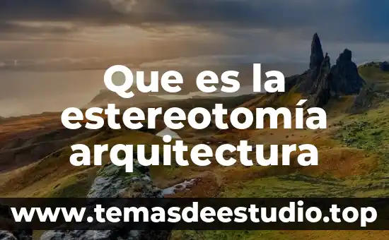 Que es la arquitectura cognitiva 3 Que es la estereotomía arquitectura