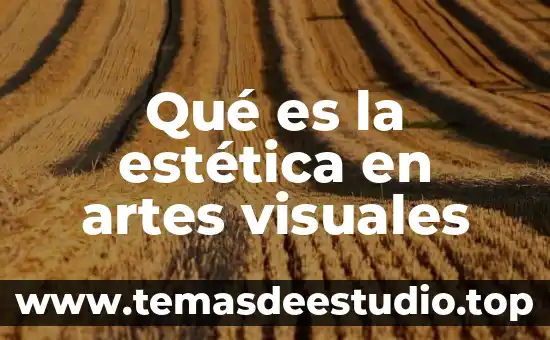 Que es el color ddefinicion artes visuales 3 Qué es la estética en artes visuales