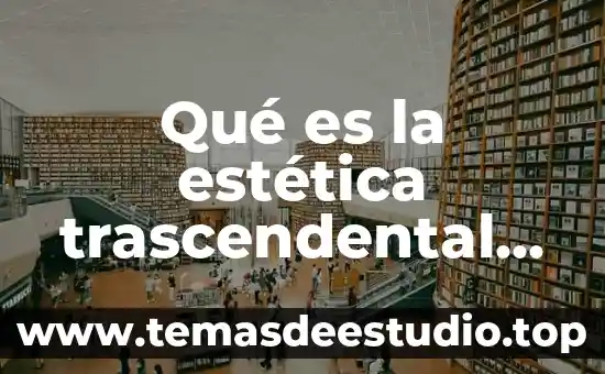 Que es y cual es la funcion trascendental 3 Qué es la estética trascendental en la filosofía