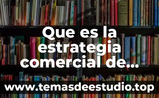 Que es el nombre comercial de una empresa ejemplos 6 Que es la estrategia comercial de una empresa