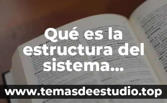 Que es el monto en termino financiero 4 Qué es la estructura del sistema financiero organigrama