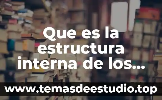 Que es una sociedad controladora filial 3 Que es la estructura interna de los textos persuasivos
